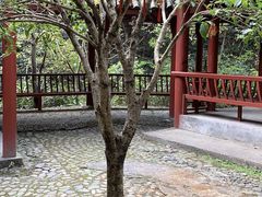 -太湖源风景区
