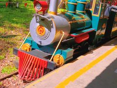 -上海共青森林公园