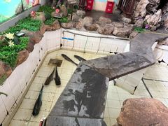 -春盛渔府(牛首山店)