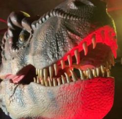 -恐龙探索乐园(磁器口店)