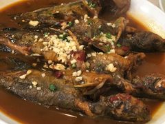 昂刺鱼-溱湖八鲜菜馆