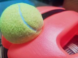 -巍阁高端月子会所