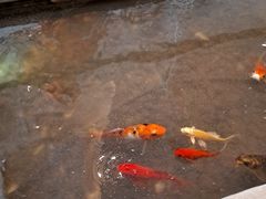 -衡山汇·高级粤菜(霄云路店)