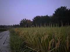 -北坞公园