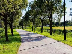 -蟹村草堂·苏式园林人文农家·大闸蟹