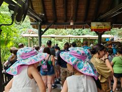 -奥兰多迪士尼动物王国乐园