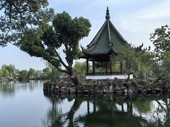-无锡蠡湖国家湿地公园-蠡园