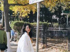-八大关景区