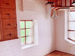 -金山农民画村-枫泾波兰倒置屋