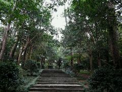 -溪口-滕头旅游景区