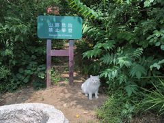 -北京凤凰岭