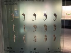 -青藏高原自然博物馆