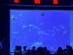 -太平洋海底世界