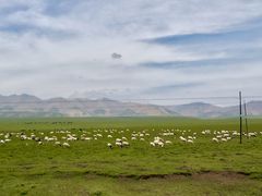 -扁都口生态休闲旅游区