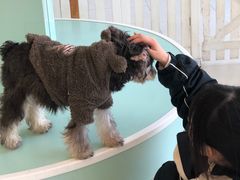 -怪兽屋·羊驼·猫咖·狗咖(俊华广场店)