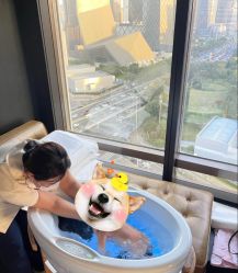 -茉莉智慧母婴护理中心(瑰丽店)