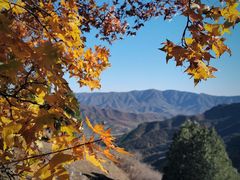 -北京鹫峰国家森林公园