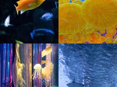 -海合安天津极地海洋公园