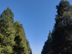 -天坛文创店