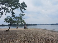 -东湖落雁景区