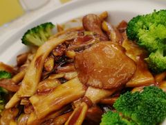 皇朝什菌宝-鑫百万烤鸭店(大兴店)