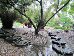 -成都市活水公园