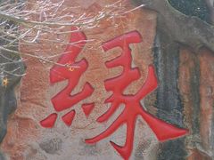 -杭州黄龙洞