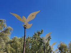 -野鸭湖国家湿地公园