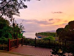 -上海市保健医疗中心