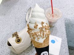 -代数学家algebraist(苏州中心店)
