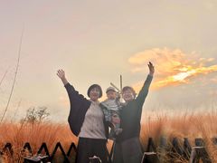 -羊亭河湿地公园