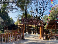 -云南民族村
