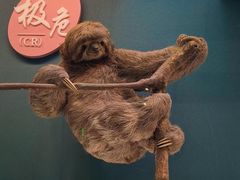 -国家自然博物馆