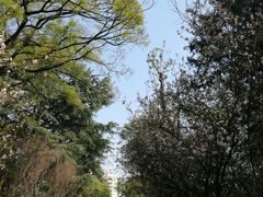 -昆明动物园