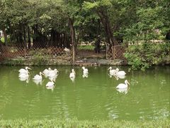 -广州动物园