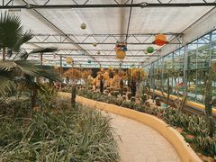 -南宫五洲植物乐园