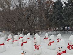 -沈阳奥体冰雪嘉年华