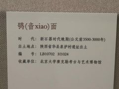 -北京大学赛克勒考古与艺术博物馆