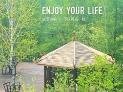 -莫尔道嘎国家森林公园