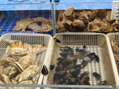 -滨海小渔村·海肠捞饭·鲅鱼水饺·特色老火鱼丸汤(华田店)