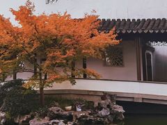 -秋霞圃