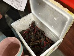 -瑞丽活螃蟹(芒市店)
