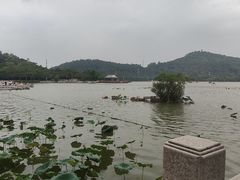 -顺峰山公园
