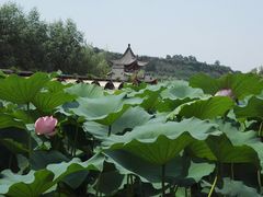 -渭南桃花源民俗文化园