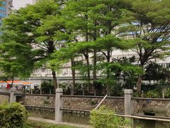 -晓港公园