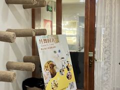 -共舞时光猫咖·狗咖(新街口店)