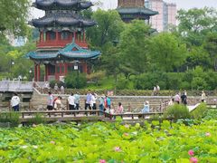 -迎泽公园