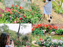 -人民公园(罗湖区)