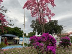 -广东花都香草世界旅游度假区
