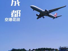 -空港花田景区